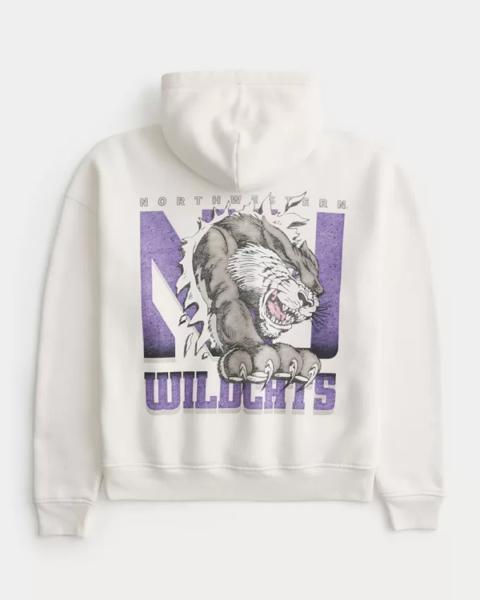Boxy Northwestern University Wildcats Graphic Hoodie,Boxy Northwestern University Wildcats Graphic Hoodie