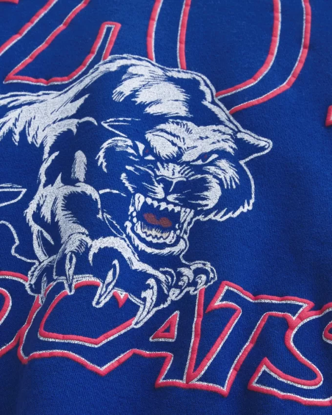 Boxy University of Arizona Wildcats Graphic Crew Sweatshirt,Boxy University of Arizona Wildcats Graphic Crew Sweatshirt