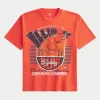 Boxy University of Illinois Graphic Tee,Boxy University of Illinois Graphic Tee